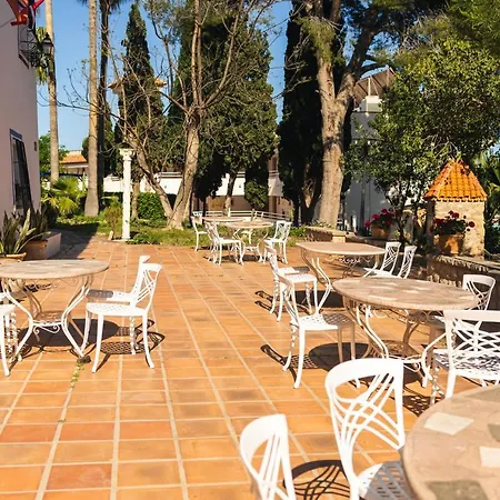L'alfas Oasis